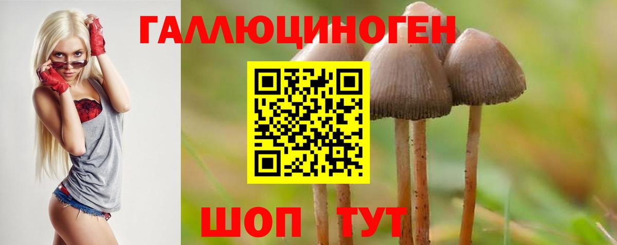 МЕФ   МЕФ  APVP СК   МАРИХУАНА  Донецк  Вход с VPN  Лсд 25  ГАШИШ  Кокаин 